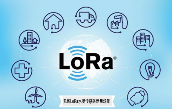 无线Lora水浸传感器：物联网时代的智能守护者2